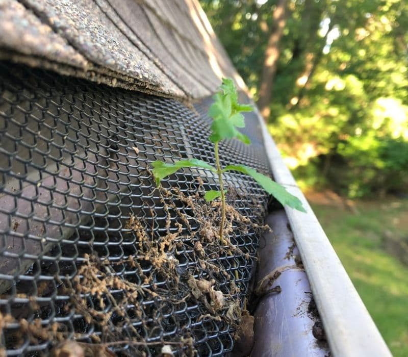 Screen Leaf Filters
