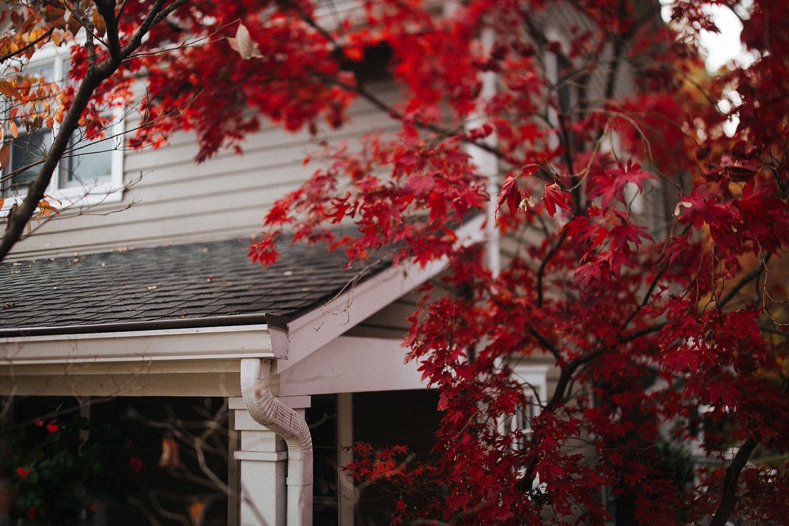 best-gutter-guard-kc