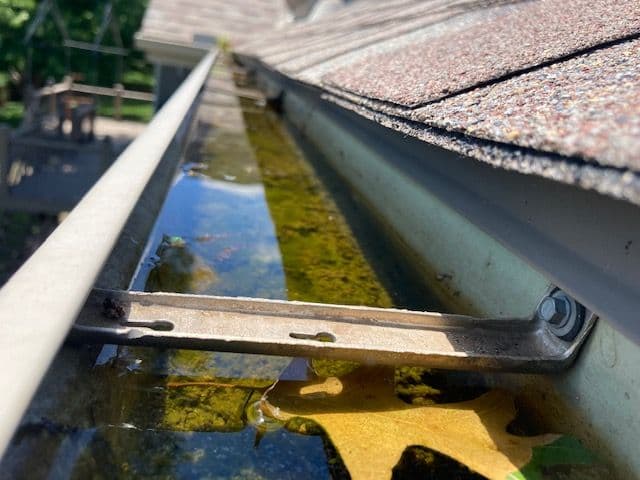 Clogged Gutters