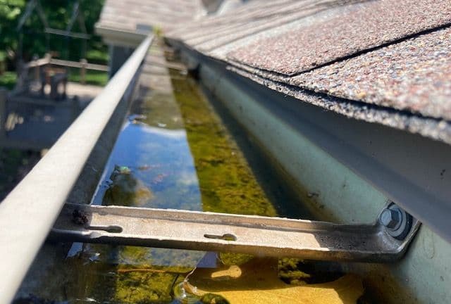 Clogged gutters