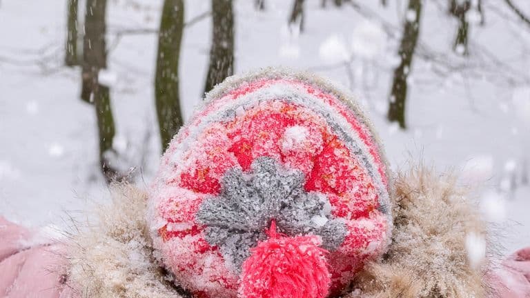 Harrisonville_Location_snow weather