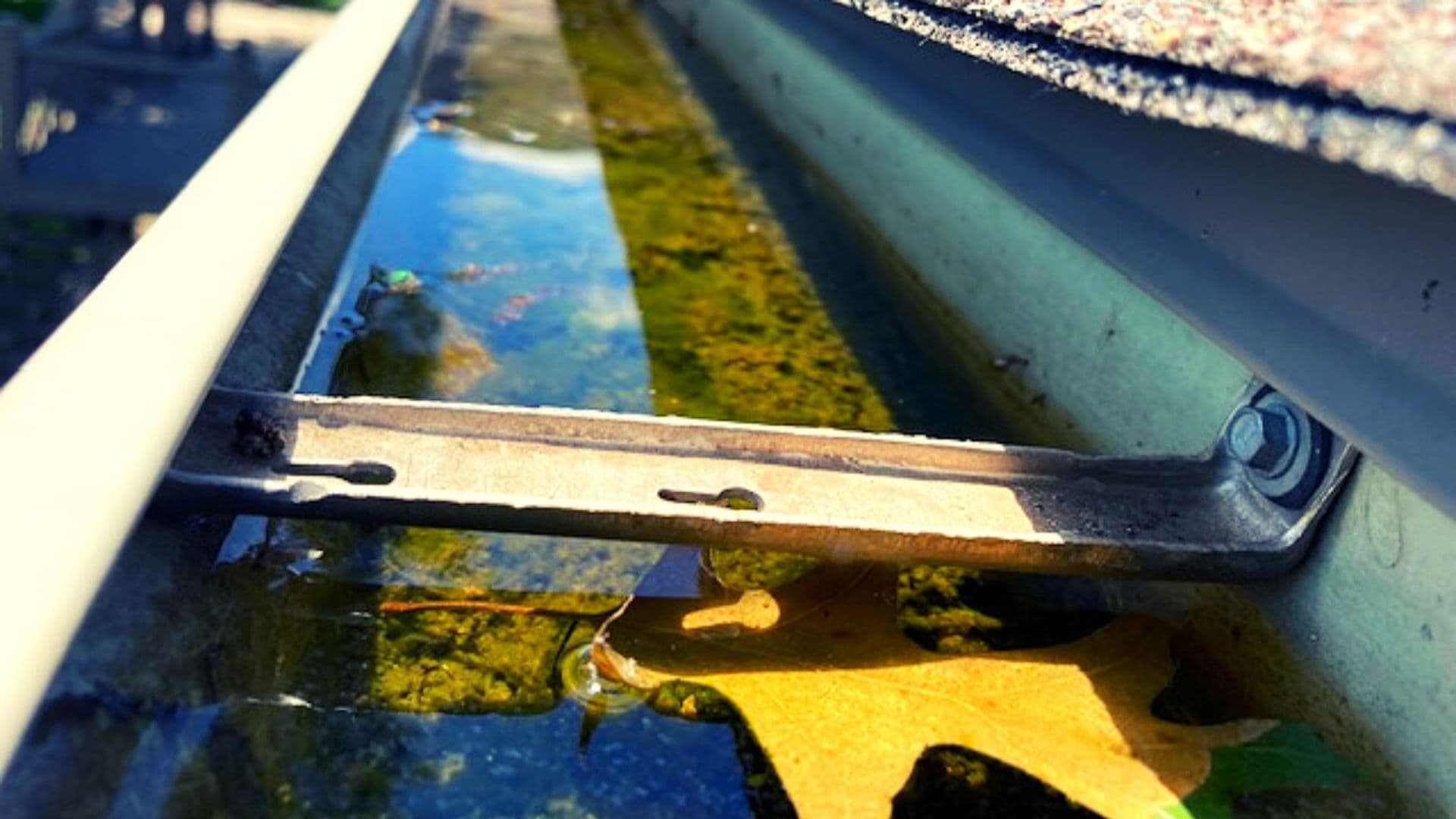 Richmond_Location_Clogged Gutters 2