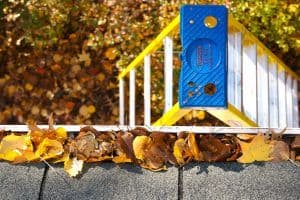 clogged-gutters-leaves-ladder