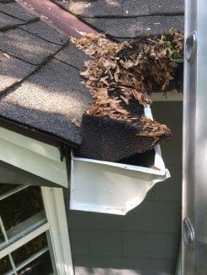 Clogged Gutters