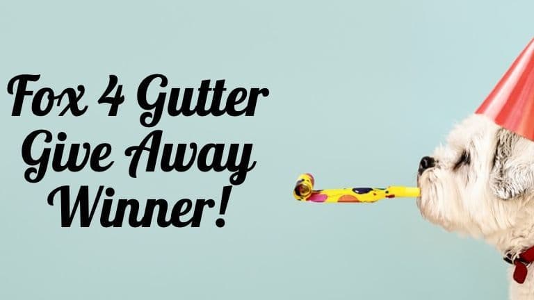 dog-celebrating-with-party