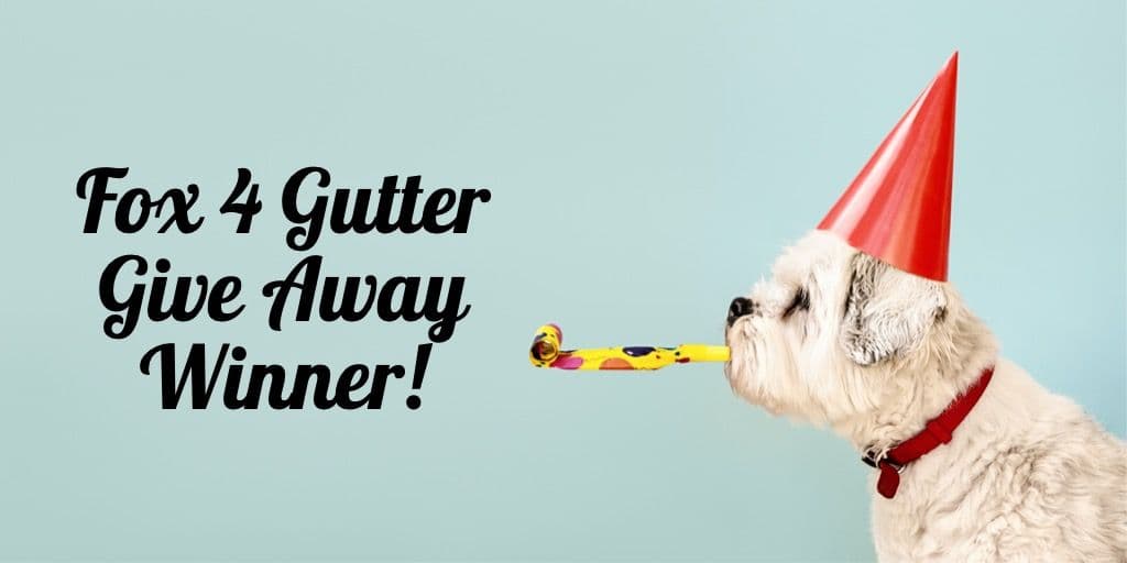 dog-celebrating-with-party