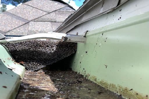 Post_page1_image10.6