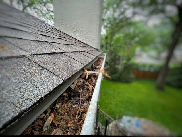 before gutter guard