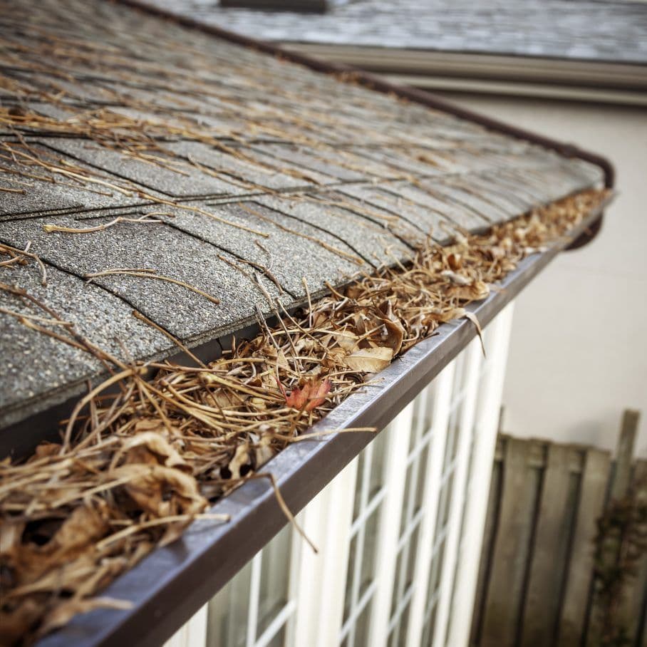 Considering Gutter Guards