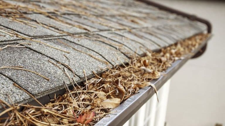 Considering Gutter Guards