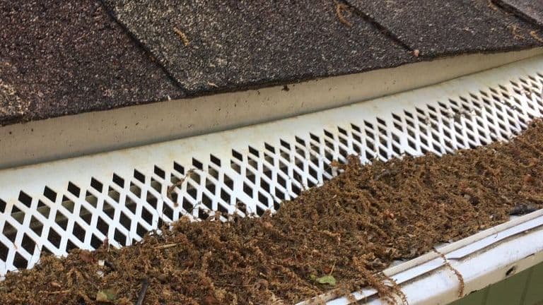Clogged Gutters