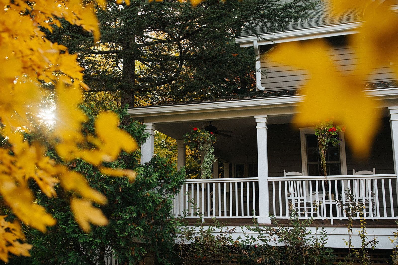 Gutter Guard With Lee’s Summit in Mind