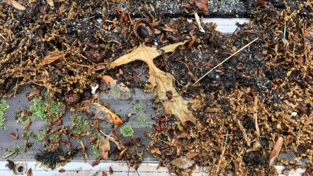 imgi_45_cloggedleaffilter-e1715023361834.jpg