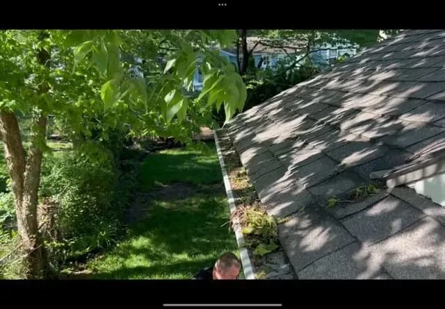 imgi_50_leaf-filter-issues.jpg.webp