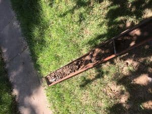 clogged gutters.