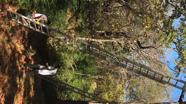 Ladder-injuries