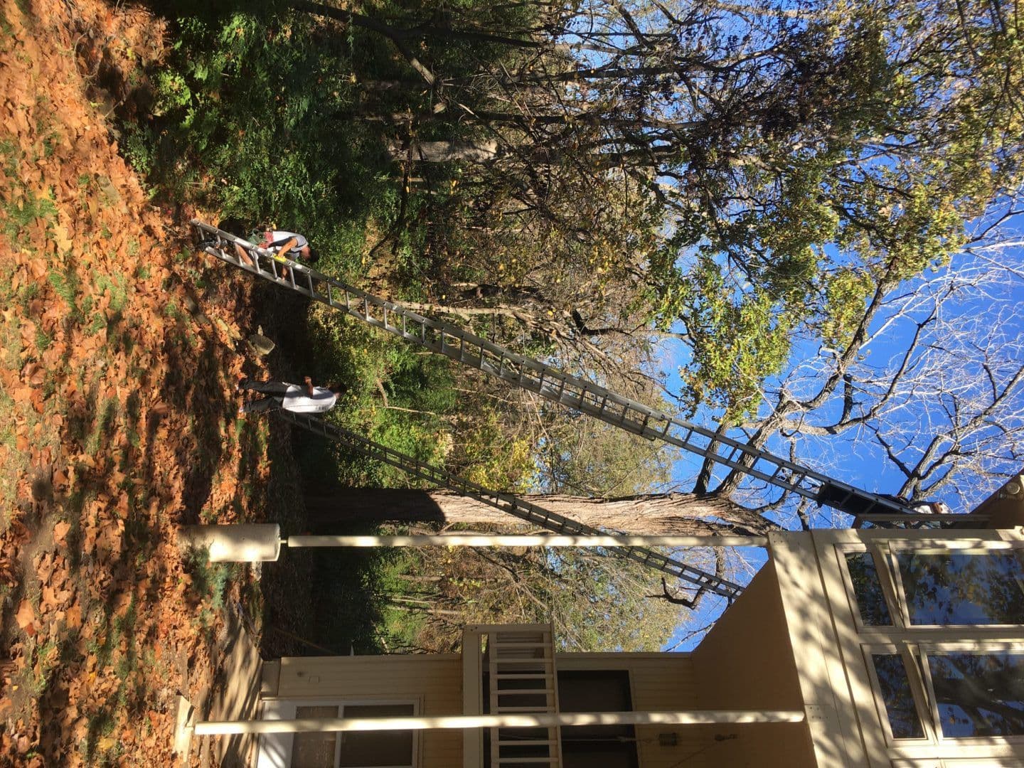 Ladder-injuries