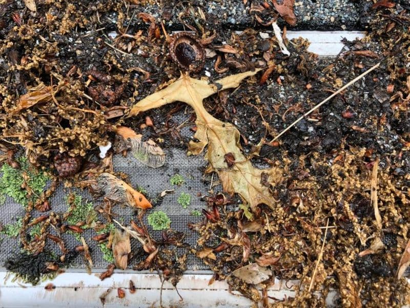 leaffilter