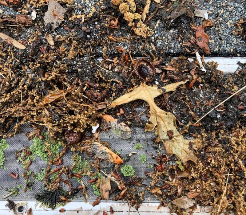 leaffilter