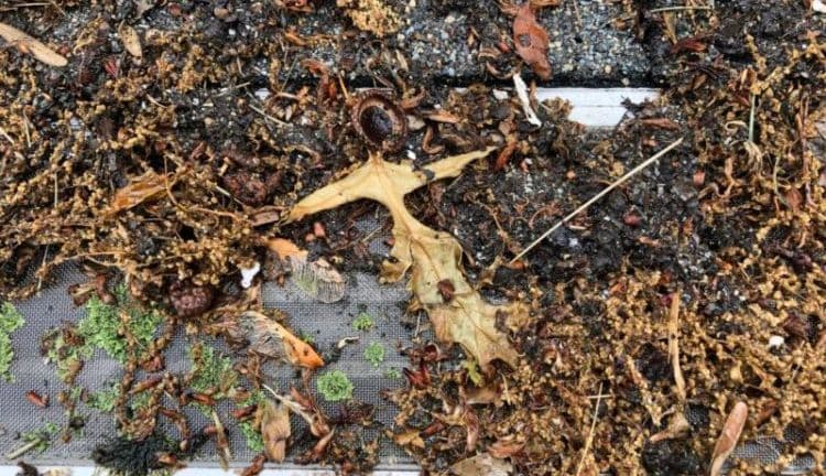 leaffilter