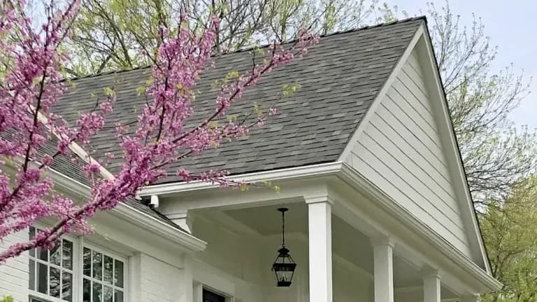 Leawood Gutter Cover