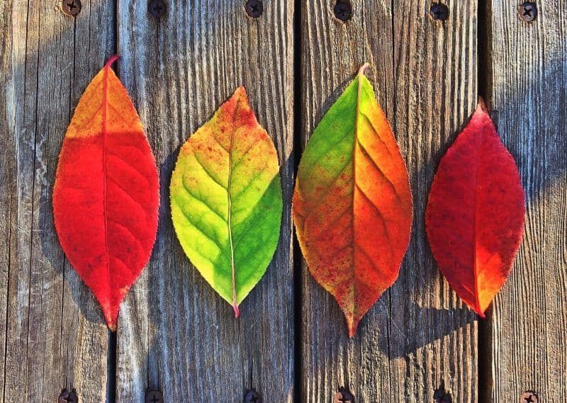 October Checklist