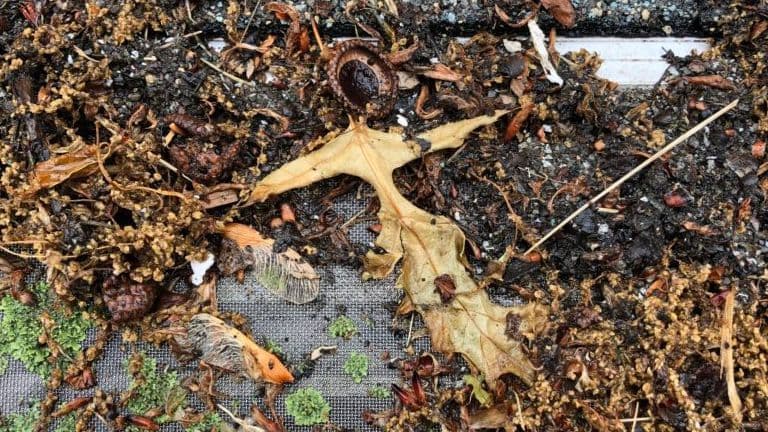 Best_Gutter_Cover_Post