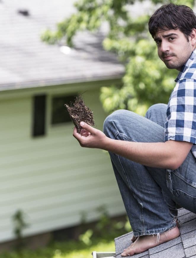 reduce-gutter-maintenance