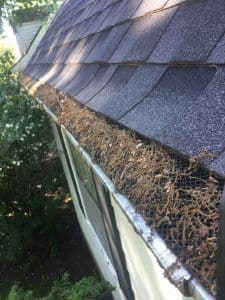 Gutter Screens