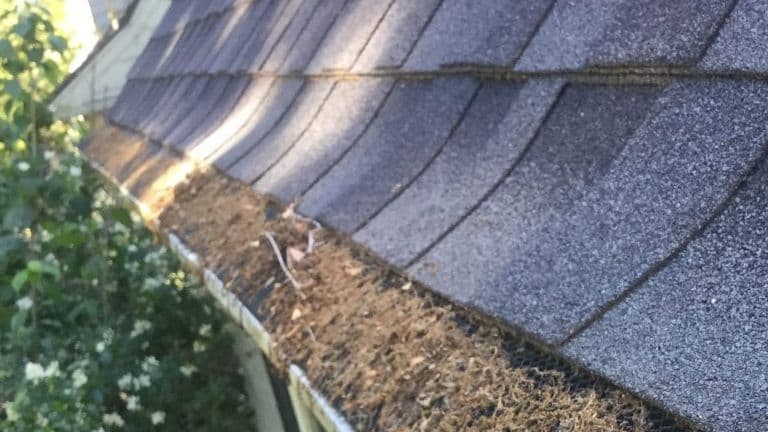 Why Gutter Screens