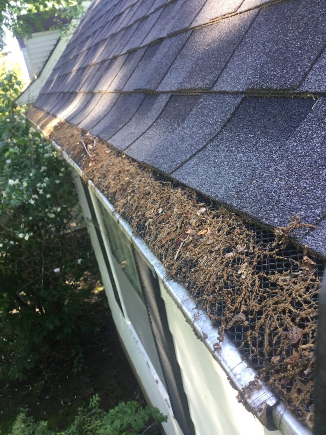 Why Gutter Screens