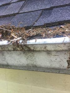 Gutter Screens