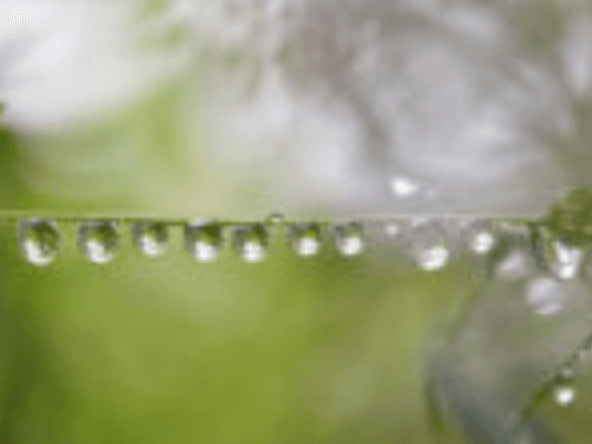 Surface Tension