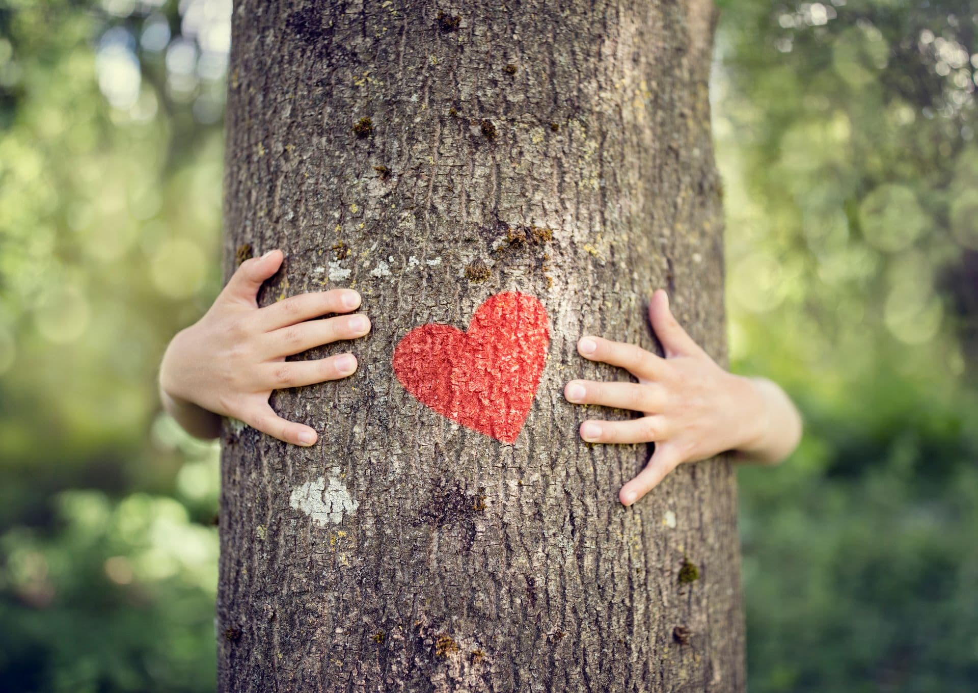 treehugger