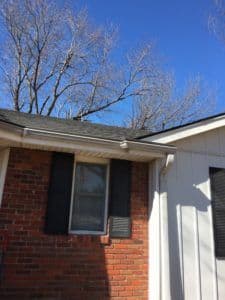 Project Leaf Guard 2.1