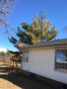 Project Leaf Guard 2.2